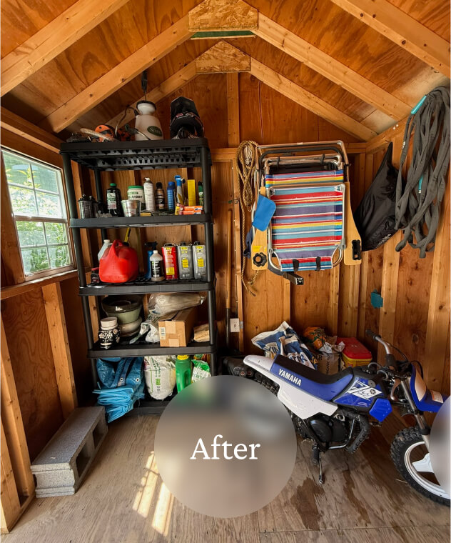 Liminal After Shed Clean Out 2 A tidy wooden shed interior with organized shelves, a folded chair, a small motorcycle, and storage items.